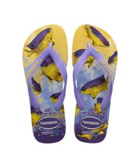 10726629_1 10726629_1