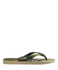 10684472_2 10684472_2