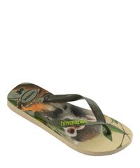 10684472_3 10684472_3