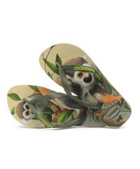 10684472_4 10684472_4