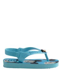 10245261_2 10245261_2