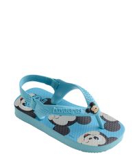 10245261_3 10245261_3