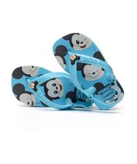 10245261_4 10245261_4