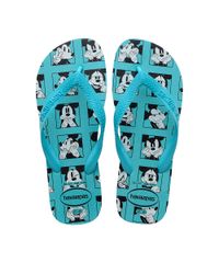 10684477_1 10684477_1