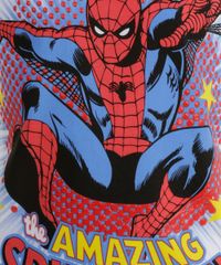 Camiseta-com-Estampa-Homem-Aranha-Branca-8151872-Branco_3