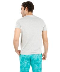 Camiseta-com-Estampa-Tropical-Cinza-Mescla-8170352-Cinza_Mescla_2 Camiseta-com-Estampa-Tropical-Cinza-Mescla-8170352-Cinza_Mescla_2