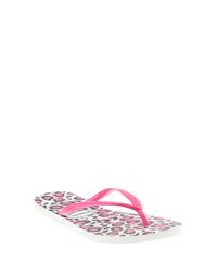 Chinelo-Havaianas-Animal-Print-Branco-7909662-Branco_1