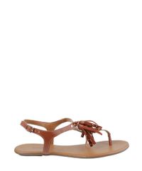 Rasteira-com-Franjas-Marrom-Claro-8162721-Marrom_Claro_2