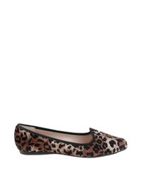 Sapatilha-Beira-Rio-Animal-Print-Marrom-8120370-Marrom_2