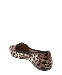 Sapatilha-Beira-Rio-Animal-Print-Marrom-8120370-Marrom_3