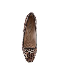 Sapatilha-Beira-Rio-Animal-Print-Marrom-8120370-Marrom_4