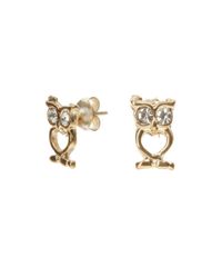 Par-de-Brincos-de-Coruja-Dourado-8133267-Dourado_1