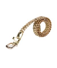 Cinto-Trancado-com-Tachas-Dourado-8081144-Dourado_3