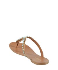 Rasteira-com-Pedraria-Marrom-8184605-Marrom_3