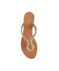 Rasteira-com-Pedraria-Marrom-8184605-Marrom_4