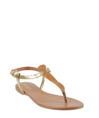 Rasteira--Dourada-8184630-Dourado_1