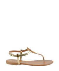 Rasteira--Dourada-8184630-Dourado_2