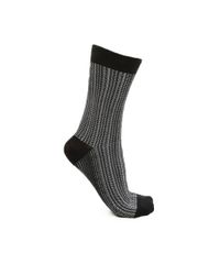 Kit-de-Meias-Estampadas-Preto-8026537-Preto_2