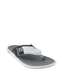 Chinelo-Rider-Cinza-8193197-Cinza_1