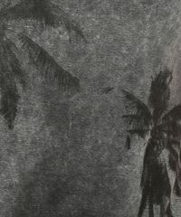 Camiseta-com-Estampa--Nonsense--Preta-8172736-Preto_4 Camiseta-com-Estampa--Nonsense--Preta-8172736-Preto_4