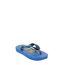 Chinelo-Havaianas-Minions-Azul-8138419-Azul_1