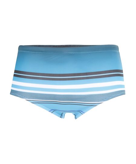 Sunga-Listrada-Azul-8078792-Azul_1 Sunga-Listrada-Azul-8078792-Azul_1