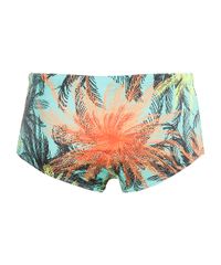 Sunga-Tropical-Verde-Claro-8078950-Verde_Claro_2