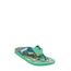 Chinelo-Ipanema-Hulk-Verde-8120974-Verde_1