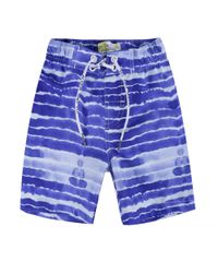 Bermuda-Estampada-Azul-7955129-Azul_1