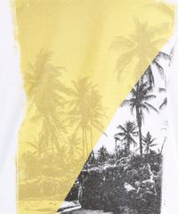 Regata-com-Estampa-Tropical-Branca-8089934-Branco_4