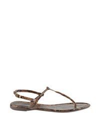 Sandalia-Rasteira-Animal-Print-Marrom-8229803-Marrom_2
