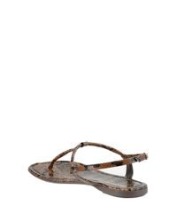 Sandalia-Rasteira-Animal-Print-Marrom-8229803-Marrom_3