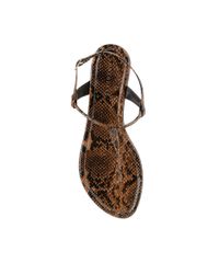 Sandalia-Rasteira-Animal-Print-Marrom-8229803-Marrom_4