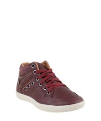 Sapatenis-Ollie-com-Jeans-Vinho-8150109-Vinho_1
