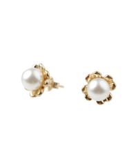 Par-de-Brincos-de-Perola-Dourado-8188284-Dourado_1