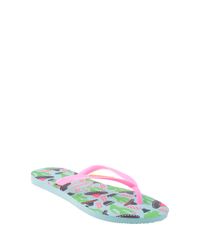 Chinelo-Havaianas-Cactos-Azul-Claro-8144977-Azul_Claro_1
