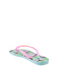Chinelo-Havaianas-Cactos-Azul-Claro-8144977-Azul_Claro_3