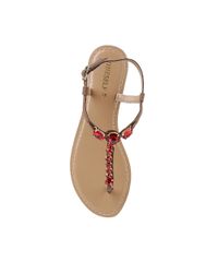Rasteira-com-Pedraria-Marrom-8001690-Marrom_4