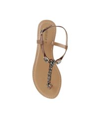 Rasteira-com-Pedraria-Chumbo-8001610-Chumbo_4