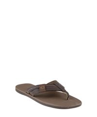 Chinelo-Cartago-Marrom-Escuro-8179229-Marrom_Escuro_1