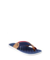 Chinelo-Cartago-Azul-Escuro-8253652-Azul_Escuro_1