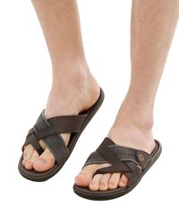 Chinelo-Cartago-Marrom-Escuro-8253200-Marrom_Escuro_5