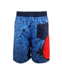 Bermuda-Angry-Birds-Azul-7963197-Azul_2