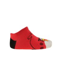 Kit-de-2-Pares-de-Meias-Angry-Birds-Multicor-8039144-Multicor_3