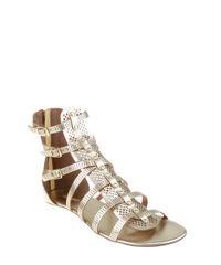 Rasteira-Gladiadora-Metalizada-Dourada-8219444-Dourado_1