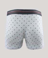 Cueca-Boxer-Masculina-Estampada-Cinza-Mescla-9181235-Cinza_Mescla_2