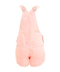 Jardineira-Rosa-Fluor-8196939-Rosa_Fluor_2