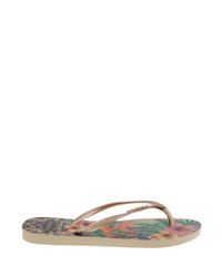Chinelo-Havaianas-Tropical-Kaki-8136845-Kaki_2