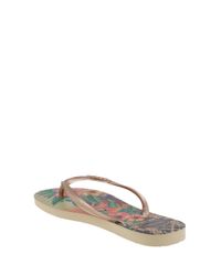 Chinelo-Havaianas-Tropical-Kaki-8136845-Kaki_3