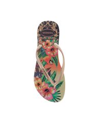 Chinelo-Havaianas-Tropical-Kaki-8136845-Kaki_4